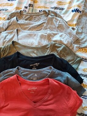 Bundle Of 7 Tees. 6 Short Sleeve 1 Long Sleeve.  All Sized Small